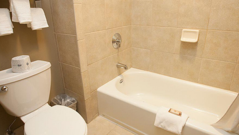 The bathroom in the Deluxe Queen Suite
